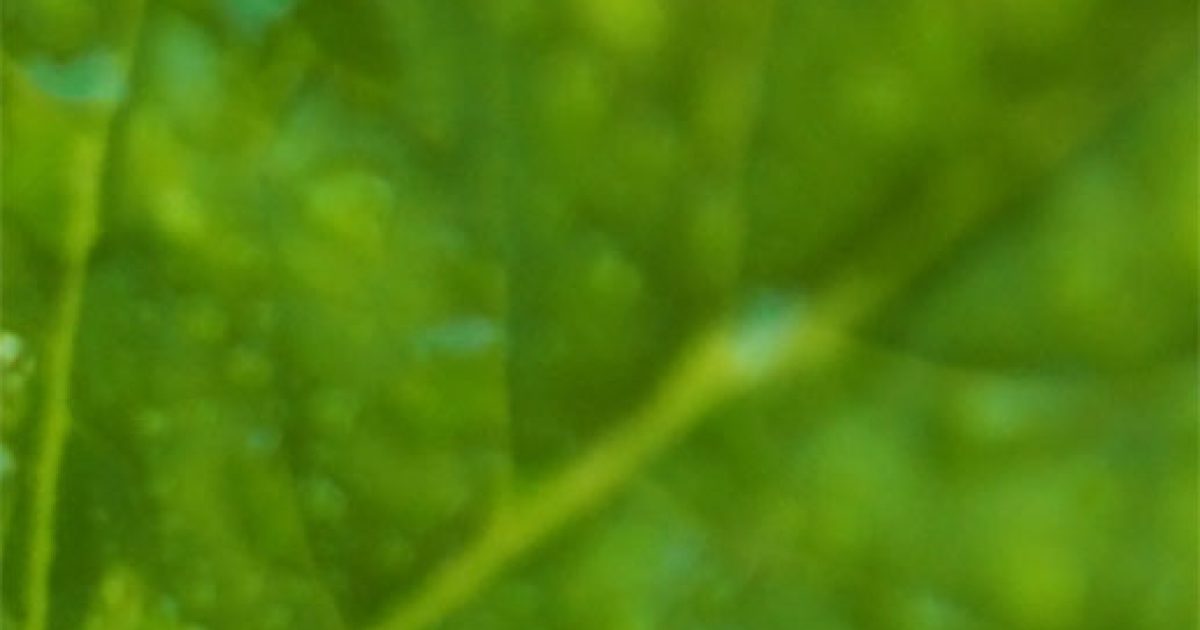 Green & Healthy Homes Marin Community Foundation